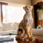 Cheetah (Limited Edition: 500 Pieces) Cheetah (Limited Edition: 500 Pieces)