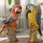 Blue Parrot