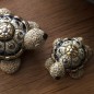 Baby Green Turtle Baby Green Turtle