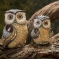 Long Eared Owl Long Eared Owl