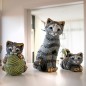 Striped Cat